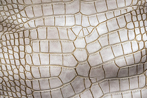 White crocodile or aligator leather texture. Abstract hide background., an Abstract Photo by Eugene_Photo