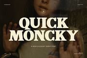 Quick Moncky Elegant Serif Font, a Serif Font by Perfectype (Thumbnail 1 of 8)