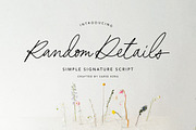 Random Details - Simple Script, a Script Font by Sarid Ezra (Thumbnail 1 of 10)