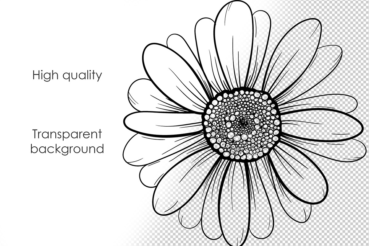 Daisy Line Art Collection, a Decorative Illustration by Dervik Art Store