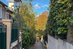 Steep Mouzaia cobblestone alley in Paris 19th district France, an Architecture Photo by GoodGoods