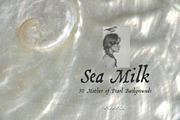 Sea Milk: Sheashell Backgrounds, a Background Graphic by Purple (Thumbnail 1 of 10)