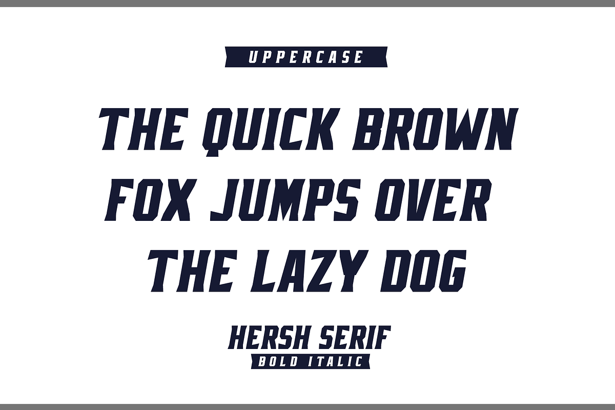 HERSH SERIF FONT FAMILY, a Serif Font by Alphabet Agency (Photo 12 of 14)