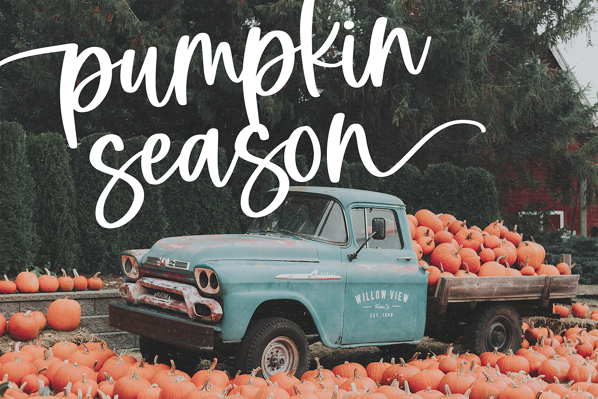 Delightful | Modern Script Font, a Script Font by KA Designs (Photo 6 of 13)