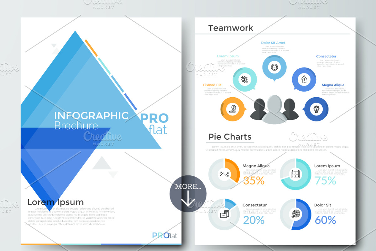 Pro Flat Infographic Brochure 10, a Presentation Template by Andrew Kras Design (Photo 5 of 7)