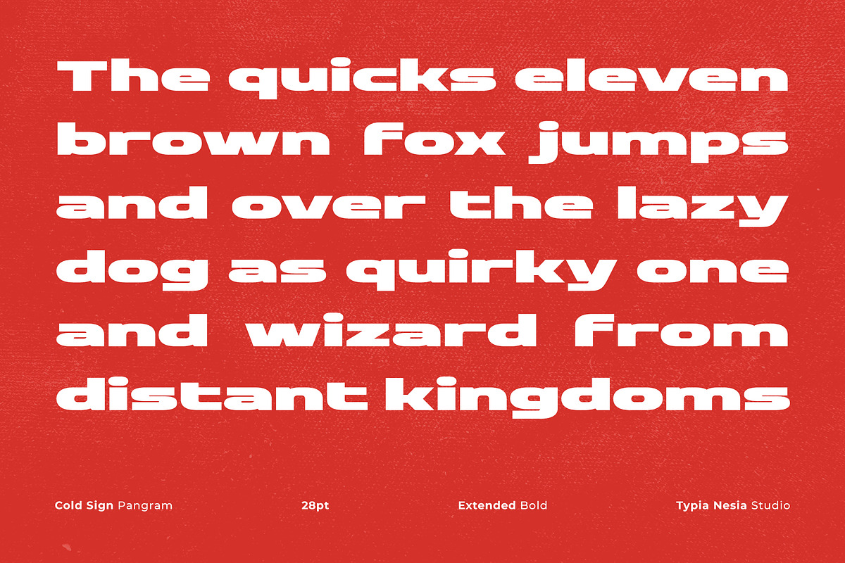 Cold Sign - Bold Expanded Sport Font, a Sans Serif Font by Typia Nesia (Photo 12 of 12)