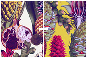 Gousse, Luxury Patterns & Motif!, a Wallpaper Graphic by Pink Linen (Thumbnail 5 of 10)