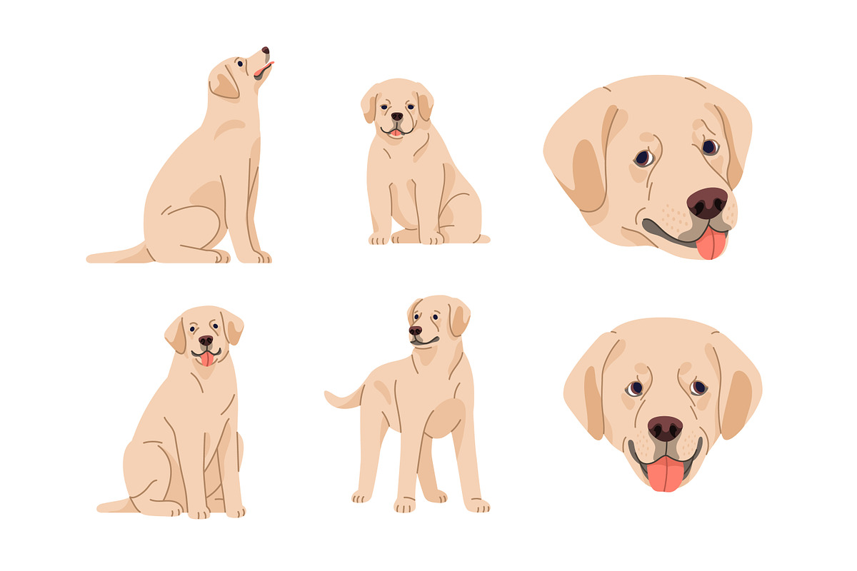 Labrador retriever dog set, patterns, an Animal Illustration by Good Studio (Photo 2 of 11)