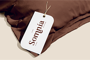 Aurine Modern Display Serif Font, a Serif Font by Rasio Studio (Thumbnail 7 of 8)