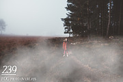 1260+ Halloween Photo Overlays, a Brushes & More by Eldamar Studio (Thumbnail 11 of 13)
