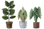 Cozy House Plants Clipart, a Decorative Illustration by the_myro (Thumbnail 4 of 10)
