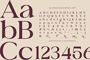 Luminara Modern Elegant Font, a Serif Font by Rasio Studio (Thumbnail 2 of 8)