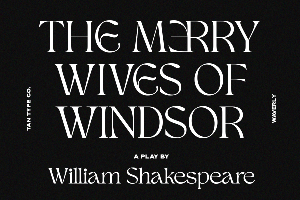 TAN - WAVERLY, a Serif Font by TanType (Photo 19 of 22)
