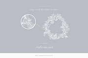 Floral Baroque Crests, an Illustration by Loren Schmidt Studio (Thumbnail 5 of 8)