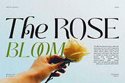 Insta Avant | Ligature Elegant Serif, a Serif Font by ClevUs (Thumbnail 2 of 12)