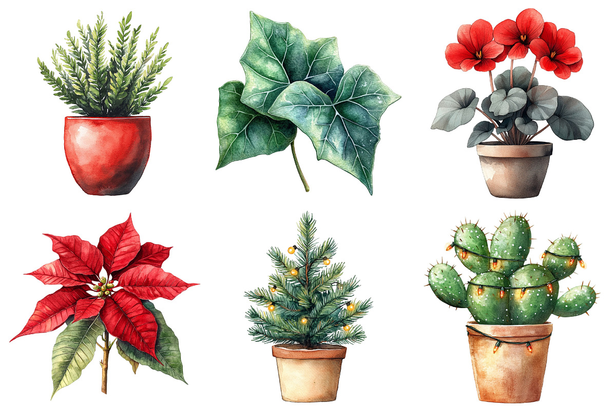 Christmas Houseplants Clipart Bundle, an Illustration by Daily.Designs (Photo 2 of 5)