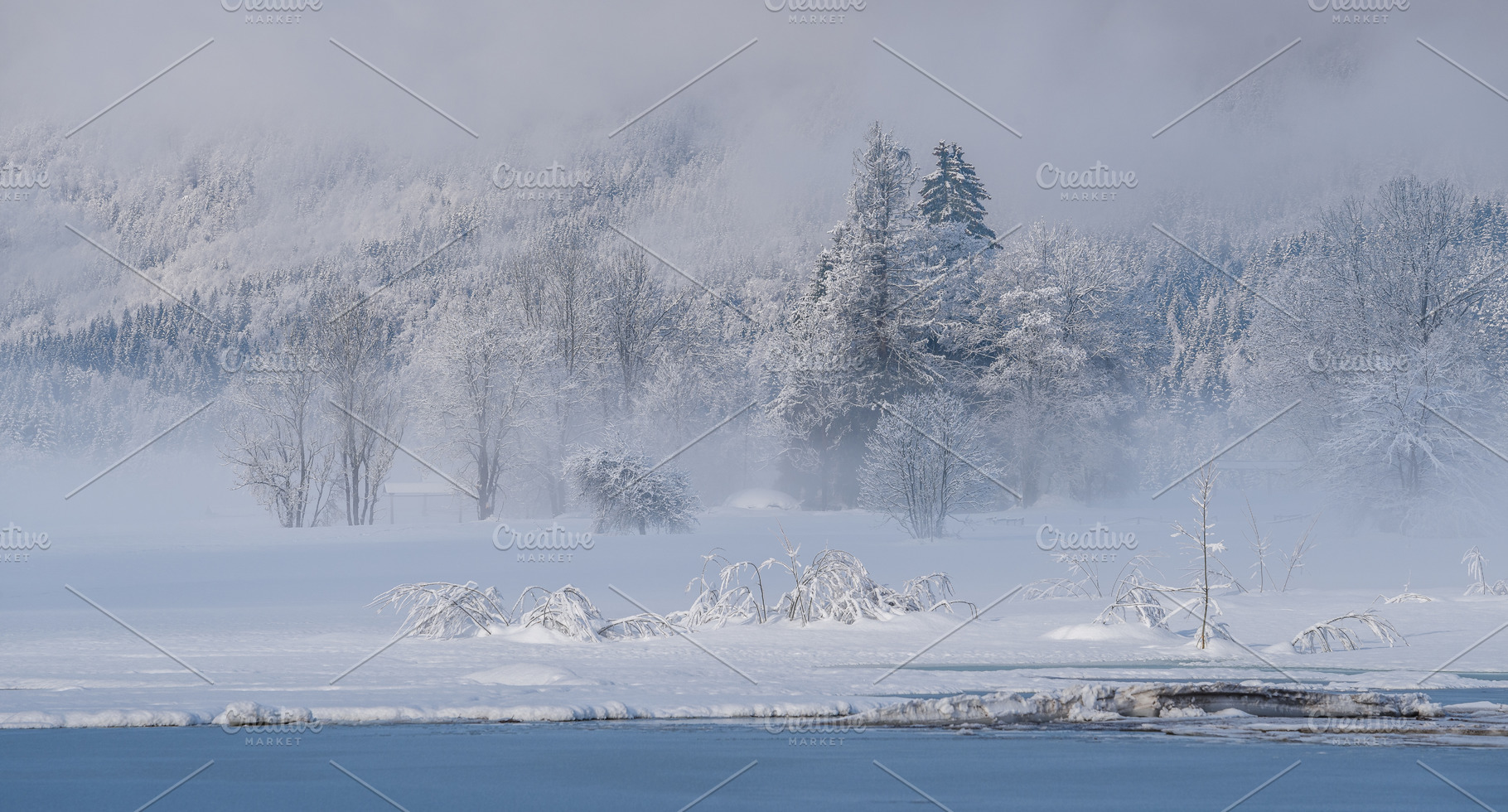 Winter morning in the forest and mountains, a Nature Photo by Dreamy Pixel