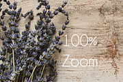 Lavender Cottage Distressed Photos, a Books & Magazine Mockup by Kudzu Camera (Thumbnail 3 of 6)