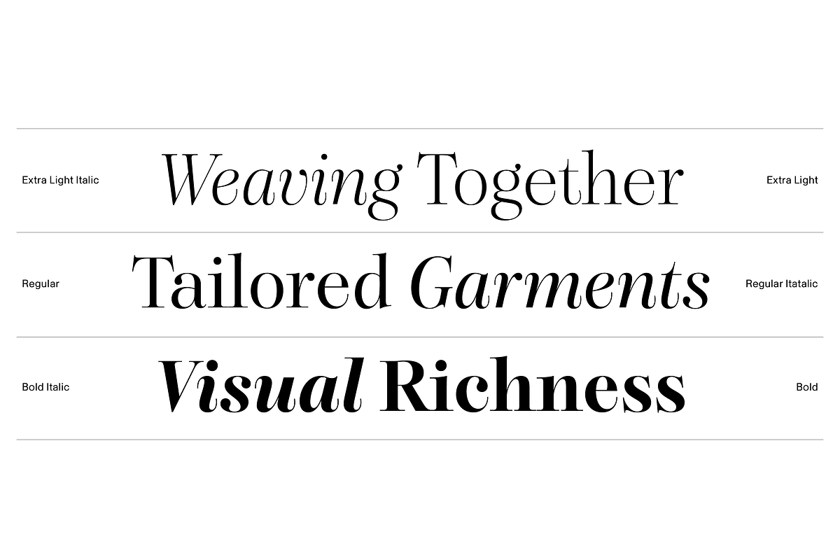 Dupioni - 6 font family, a Serif Font by Silktype (Photo 3 of 21)