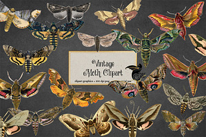 Vintage Moth Clipart