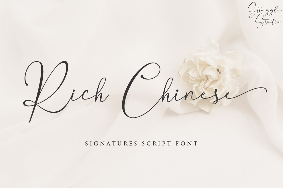 Rich Chinese, a Script Font by Struggle Studio (Photo 1 of 5)