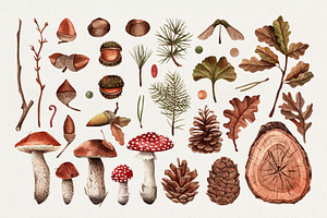 Watercolor Botanical Forest Set