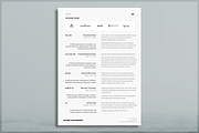 Professional CV, a Resume Template by introDuice - CV / Resumes (Thumbnail 2 of 7)