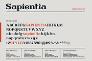 Sapientia - Serif Font Family, a Serif Font by Artistic & Unique (Thumbnail 3 of 12)