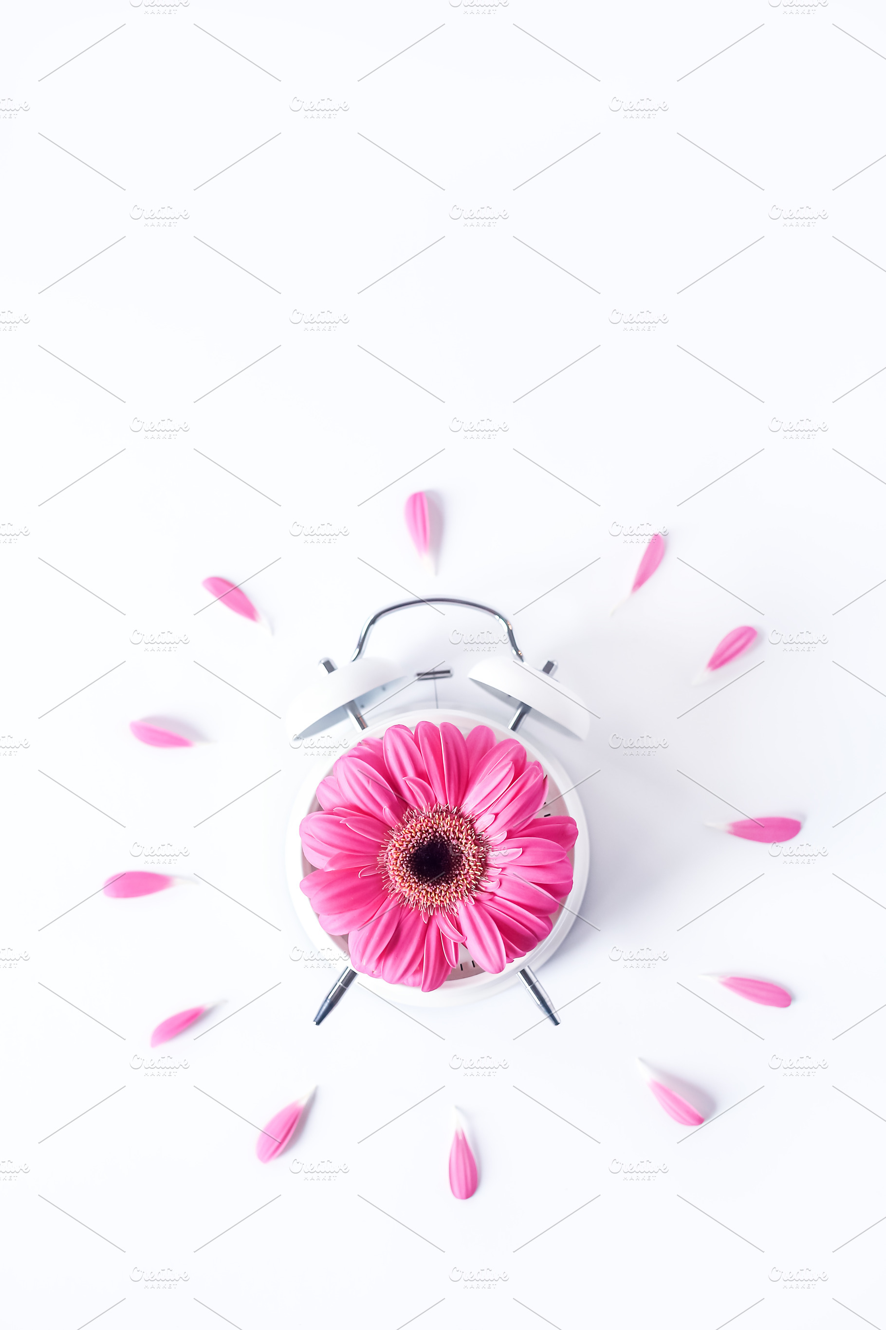 Spring Time - Stock Photo, a Background Photo by SunnyTangerine Stock