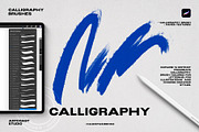 Calligraphy Brushes for Procreate, a Brush Add-On by Spasibenko Art (Thumbnail 1 of 9)