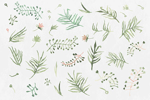 Watercolour Floral Elements