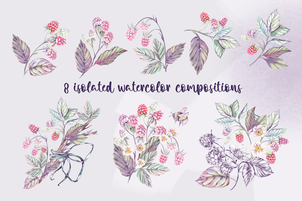 Raspberry romance. Watercolor set, an Animal Illustration by Shabbypie (Photo 5 of 15)