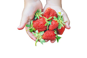 The child collects strawberries in, a Food & Drink Photo by yanadjana