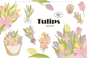 Tulip Watercolor Collection