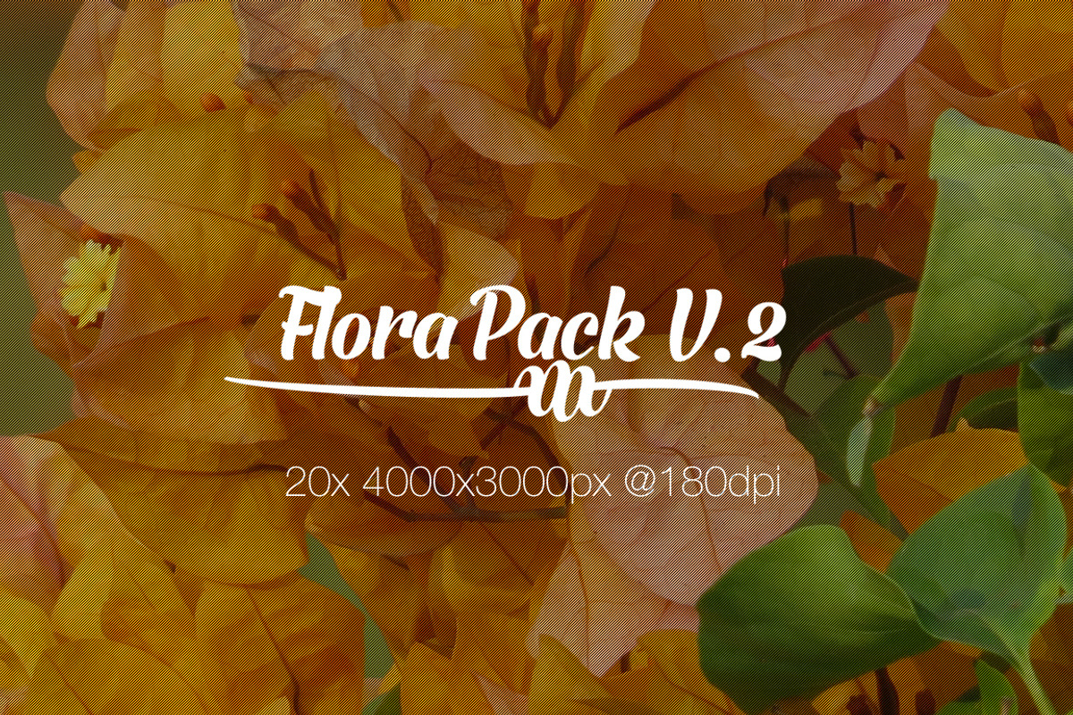 Flora Photo Pack V2 preview 7