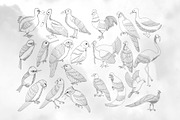 49 Birds Collection, an Animal Illustration by RHY Studio (Thumbnail 2 of 3)