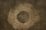 Sylva Textured Botanical Backgrounds, a Background Graphic by alonahaidash (Thumbnail 13 of 15)
