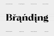 Astorica Display -  Font Family, a Serif Font by Zane Studio (Thumbnail 6 of 16)