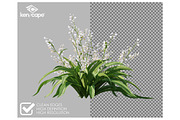 81 Assorted Plants Photo Overlays, a Nature Photo by KenScape (Thumbnail 2 of 4)