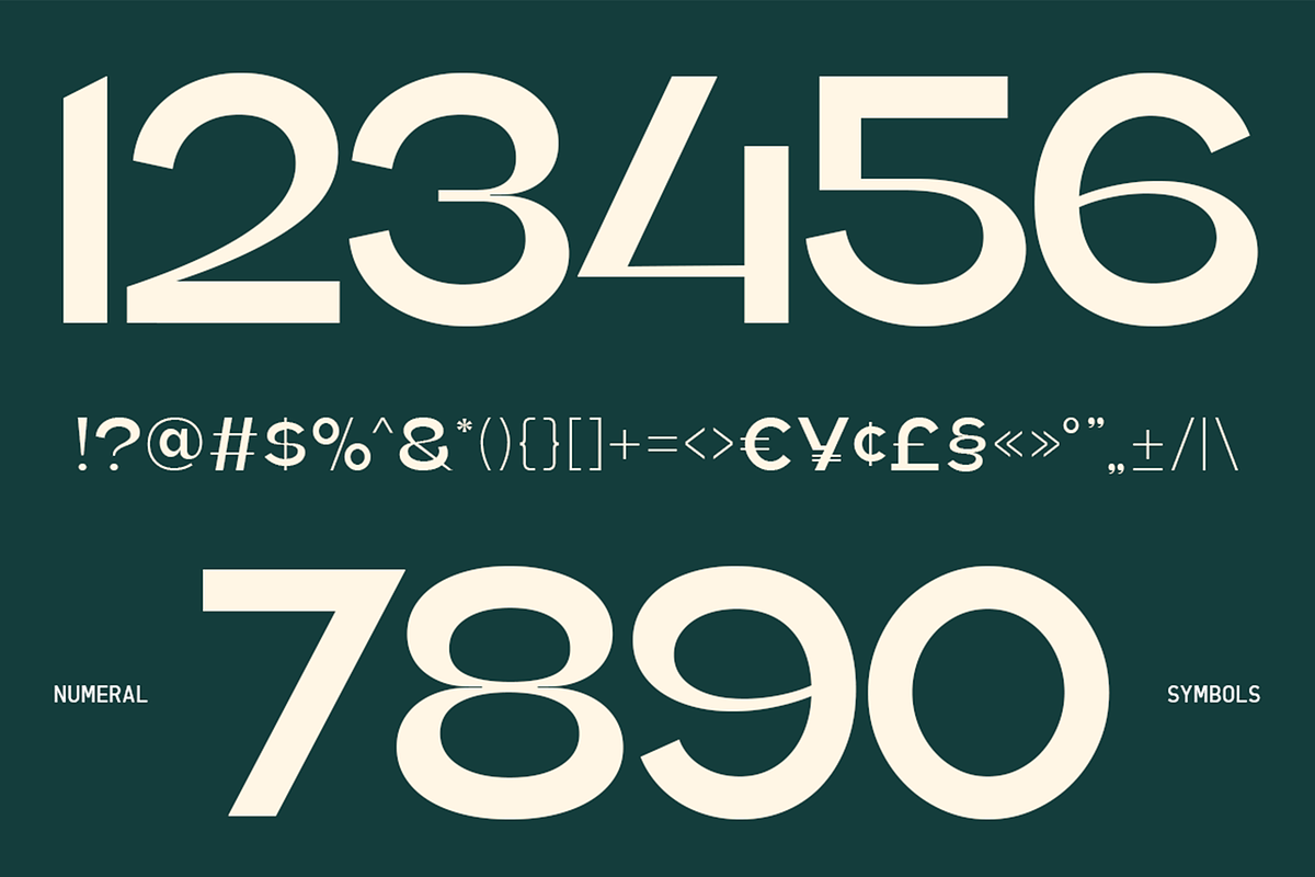 Koera - High Contrast Font Family, a Sans Serif Font by Pekotype (Photo 4 of 15)