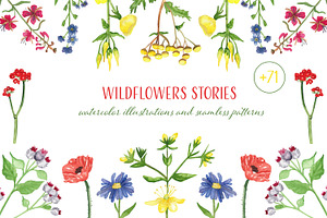 Wildflowers stories