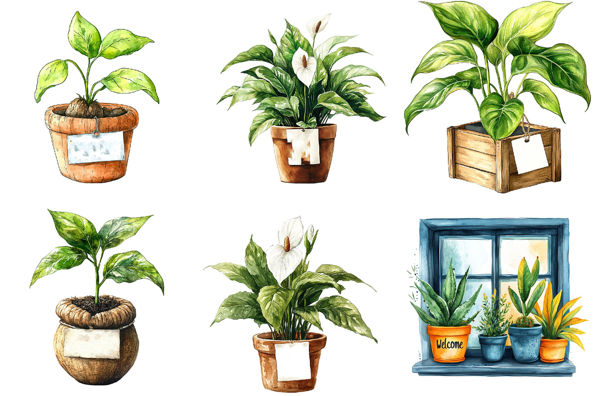 Positive Autumn Houseplant Clipart, an Illustration by Watercolor design (Photo 2 of 4)