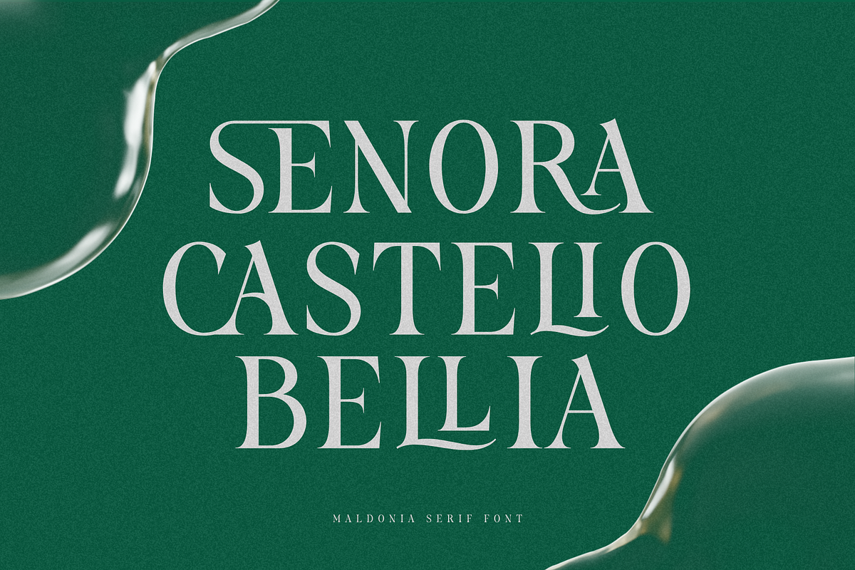 Fliren - Stylish Serif Font, a Serif Font by Sronstudio (Photo 12 of 16)