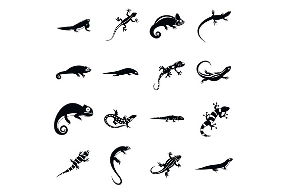 Lizard icons set, simple style, an Outline Icon by Ylivdesign