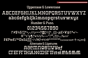 Mbledos Display, a Slab Serif Font by Differentialtype (Thumbnail 9 of 12)