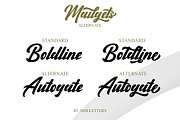 Mailgets // Bold Script Font, a Script Font by MJB Letters (Thumbnail 5 of 9)