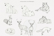 Wild Animals Watercolor Clipart, an Animal Illustration by PawGraphic (Thumbnail 2 of 12)