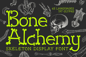 Bone Alchemy - Skeleton Typeface, a Handwritten Font by HipFonts