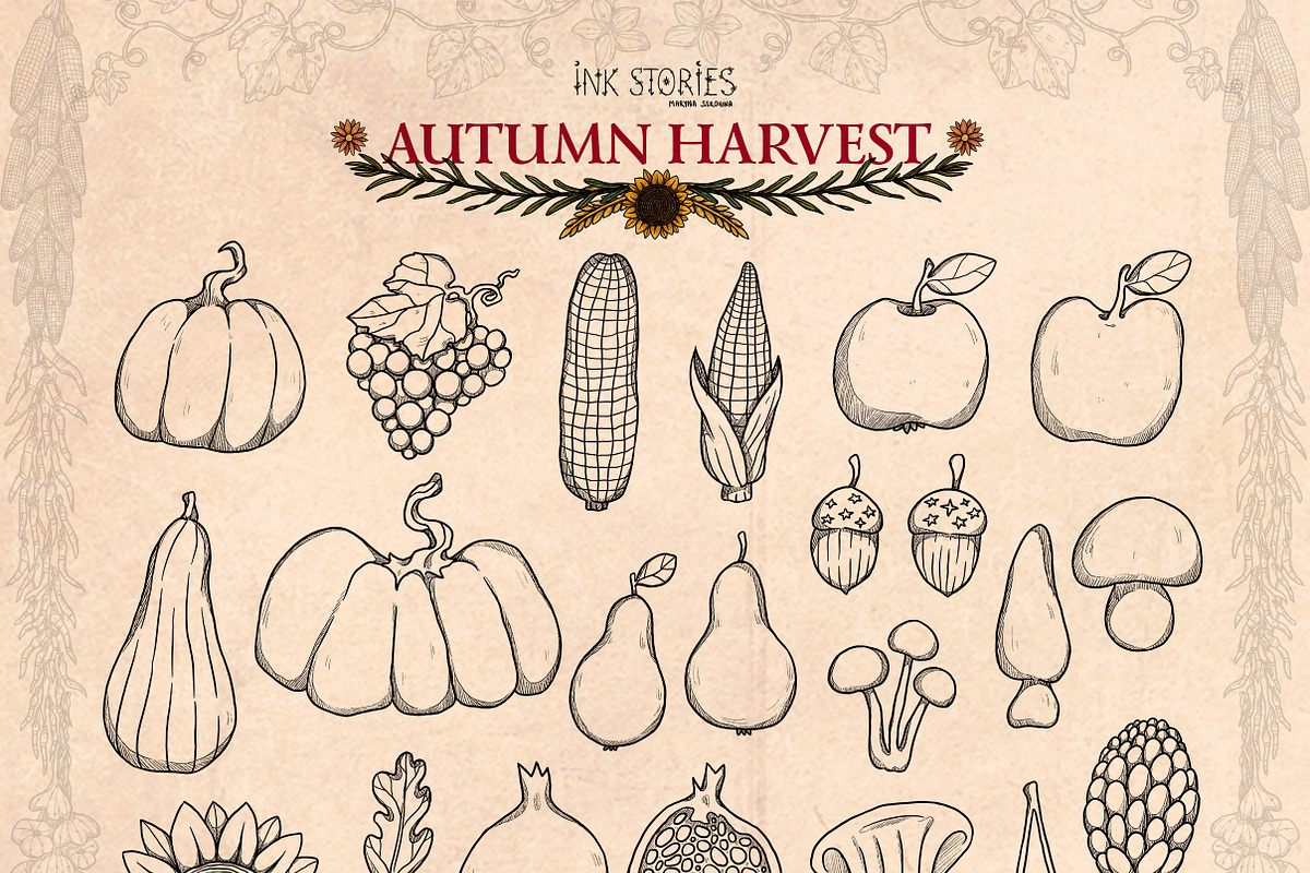 Autumn Harvest, a Seasonal Illustration by Ink Stories (Photo 5 of 26)