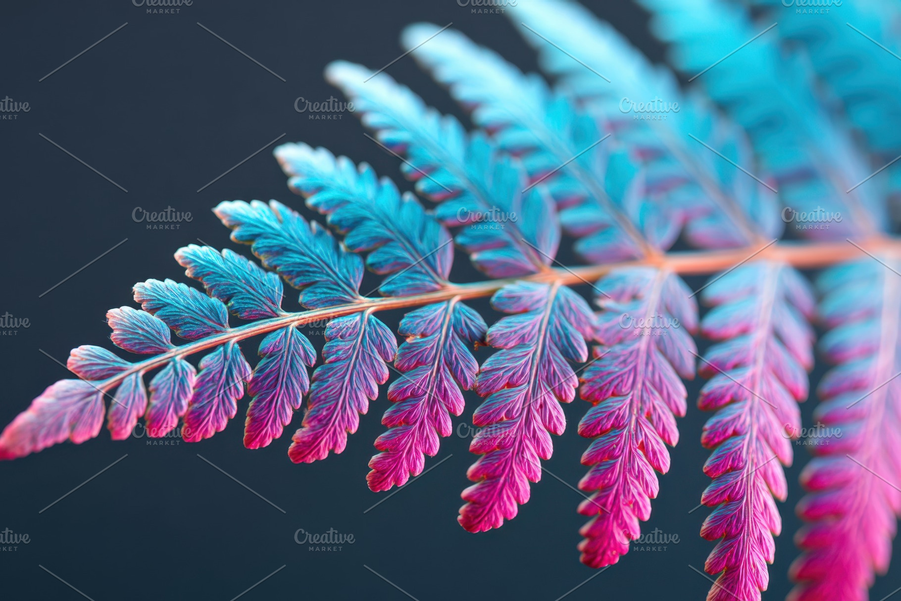 Vibrant fern leaf close-up in pink and blue, a Nature Photo by AlyaAnd